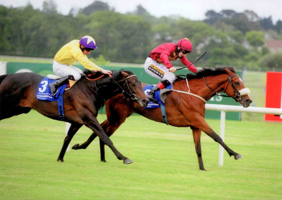 Roheryn - King George V Cup Listed Leopardstown 6th June 2014